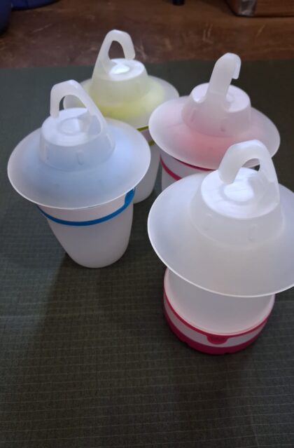 Colourbud Lantern